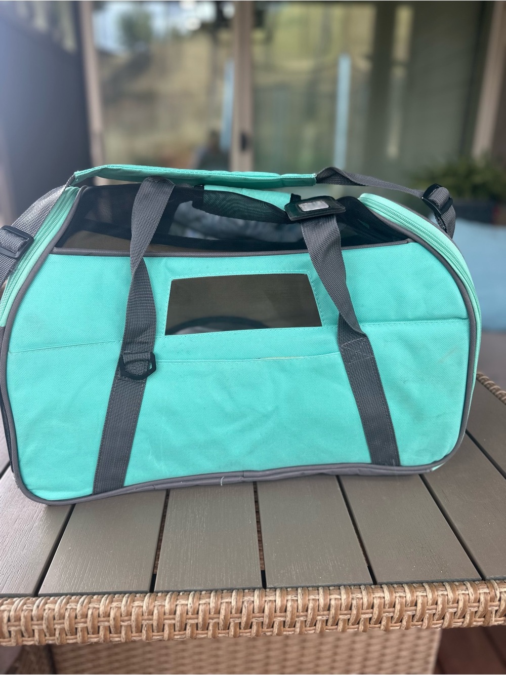 Teal Soft-Sided Small Pet Carrier - Picture 3 of 11